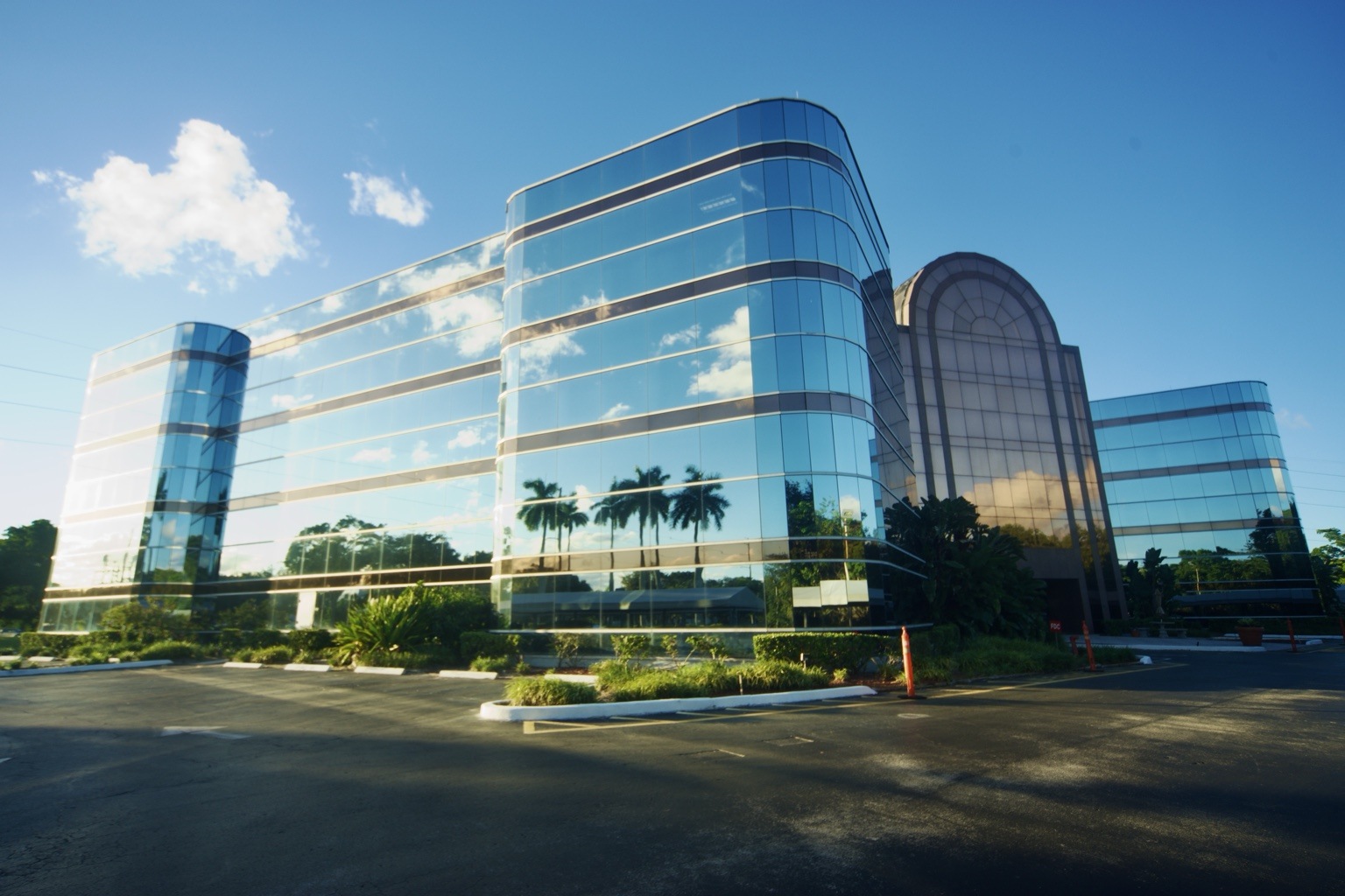 Curved glass commercial building reflecting palms and clouds